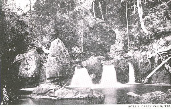 A historic photo of Sorell Creek Falls from Libraries Tas (date unknown)