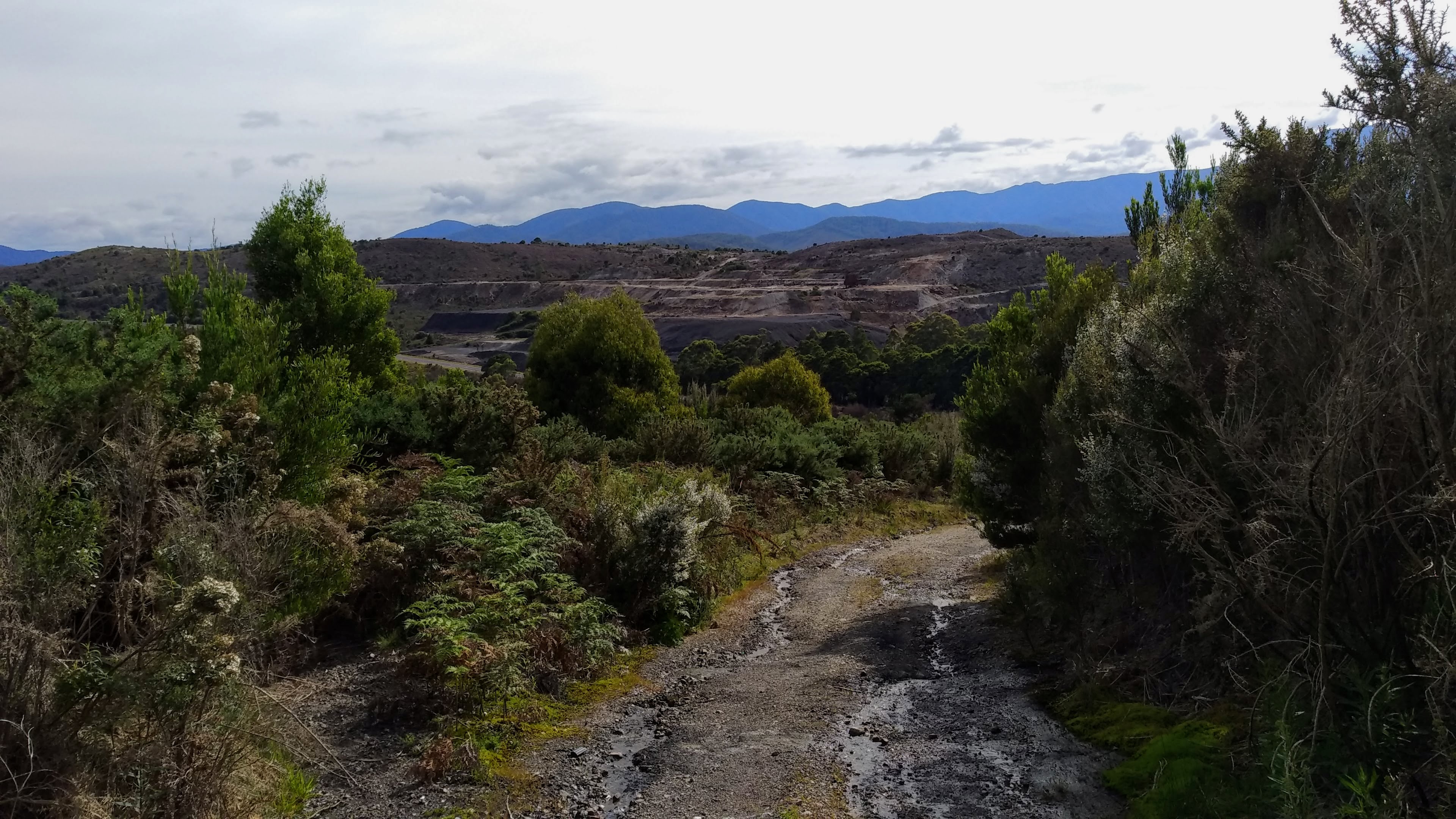 Looking across Henty road at the Austral mine